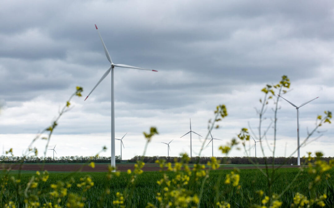 Nitrogen Oxides Sow the Wind